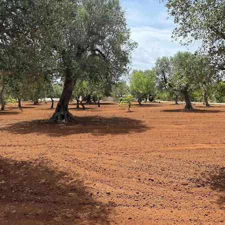 Βίλα Trullo Misha Ceglie Messapica