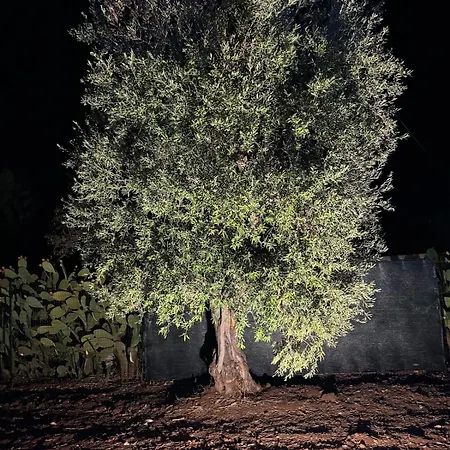 Trullo Misha Βίλα Ceglie Messapica