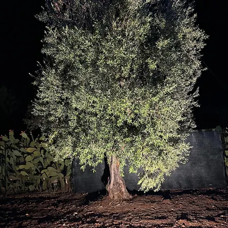 Βίλα Trullo Misha