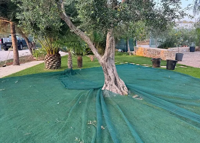Trullo Misha Ceglie Messapica
